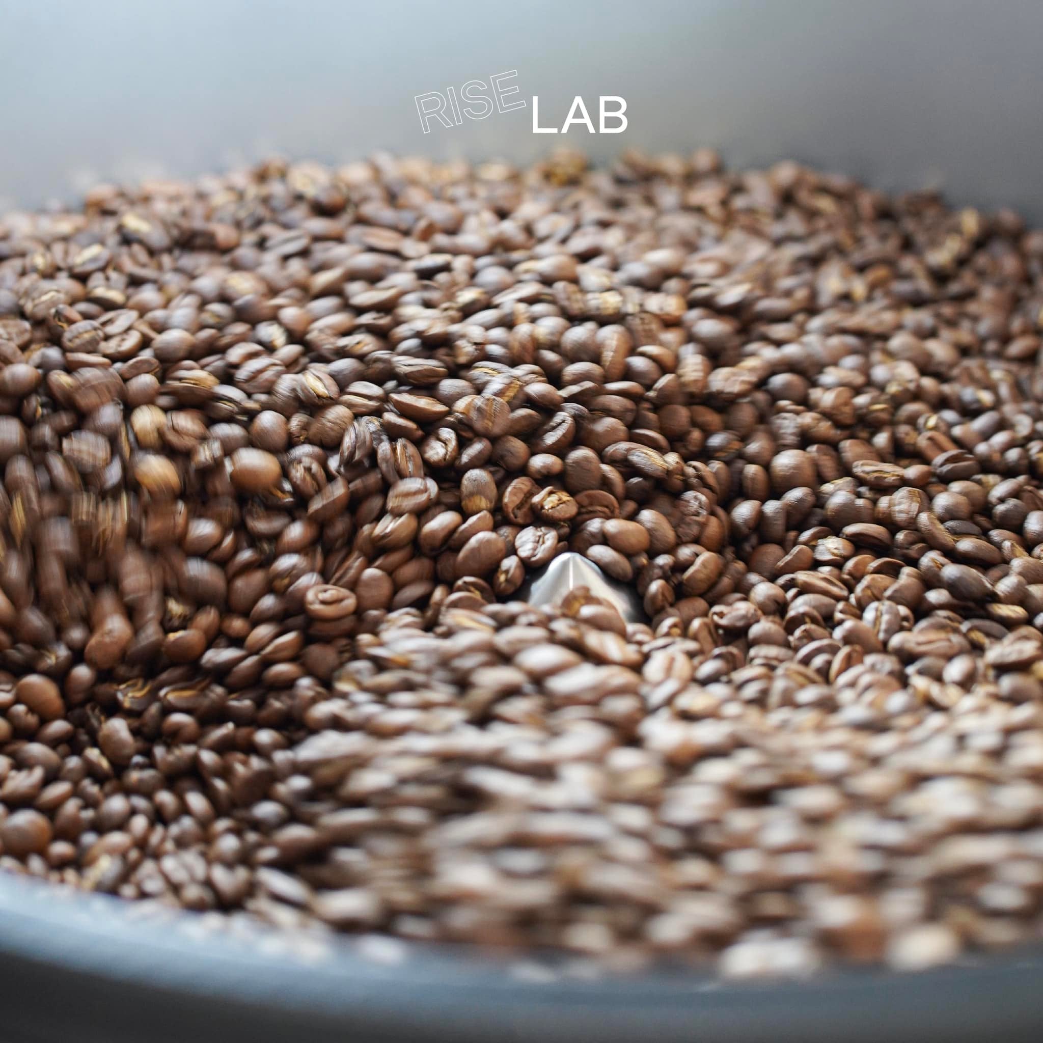 RISE LAB: OUR ROASTING APPROACH ON ETHIOPIA HALO BERITI