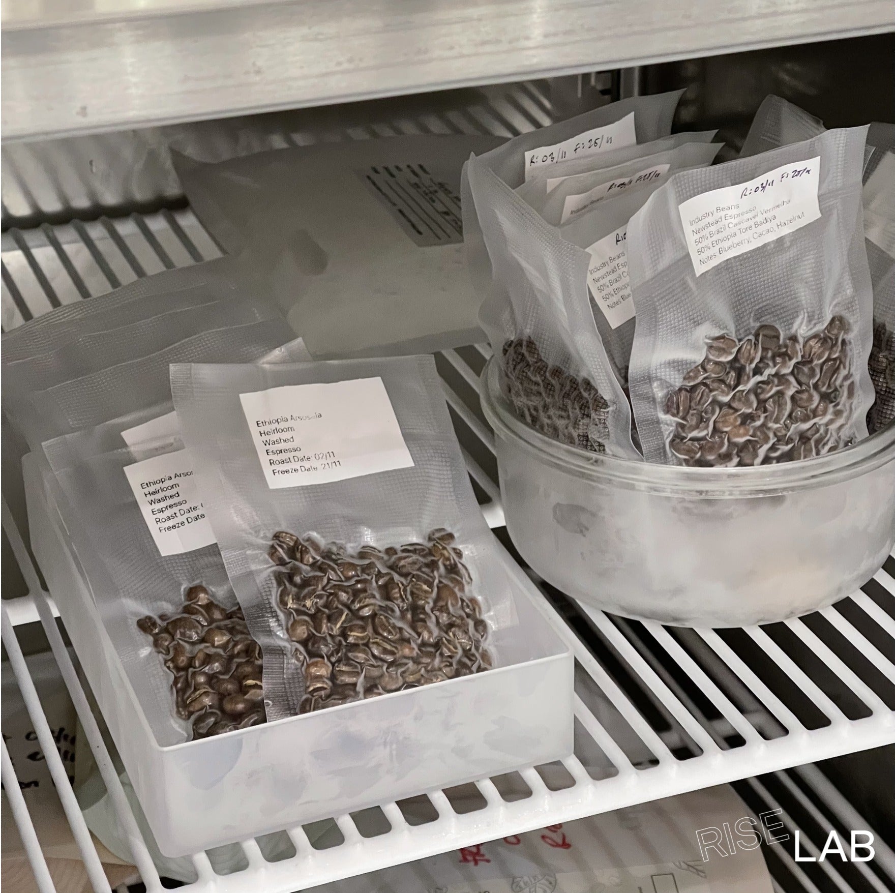 RISE LAB Diary: Why Freeze Coffee? What's Peak Flavor Window?